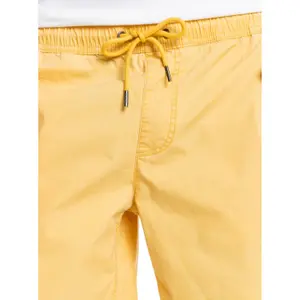 Short Quiksilver Taxer image-4