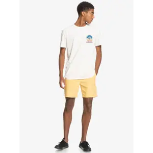 Short Quiksilver Taxer image-6