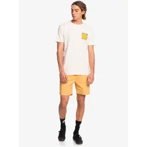 Short Quiksilver Taxer image-1