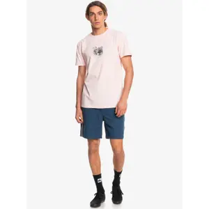 Short de bain Quiksilver Taped Taxer image-1