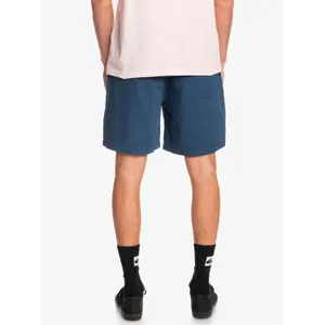 Short de bain Quiksilver Taped Taxer image-5