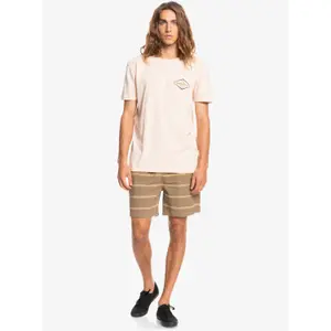 Short de bain Quiksilver Taxer Jacquard image-2