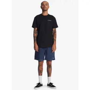 Short Quiksilver Taxer Cord image-1
