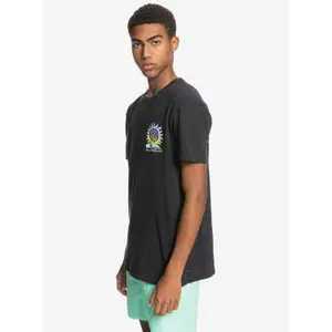 T-shirt Quiksilver Island Pulse image-6