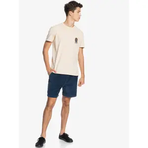 T-shirt Quiksilver Earth Running image-4