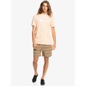 T-shirt Quiksilver Comp Logo image-4