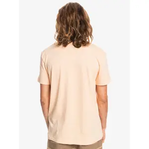T-shirt Quiksilver Comp Logo image-5