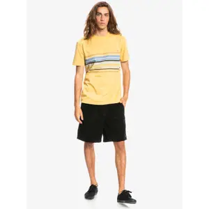 T-shirt Quiksilver Rmic Stripe image-4