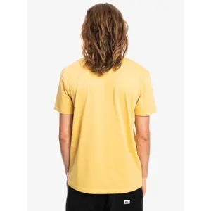 T-shirt Quiksilver Rmic Stripe image-5