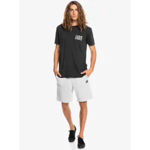 T-shirt Quiksilver Legends image-2