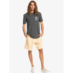 T-shirt Quiksilver Gone Words image-4