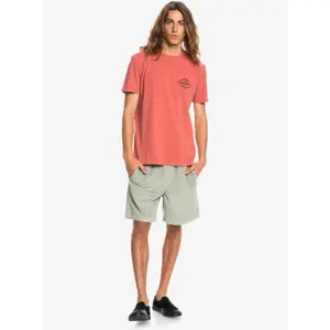 T-shirt Quiksilver Stir It Up image-4