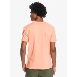 T-shirt Quiksilver Silver Lining image-4