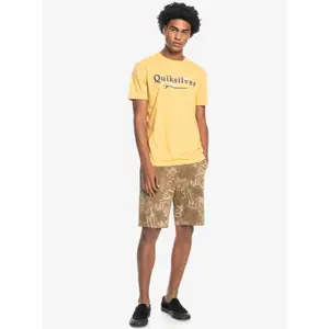 T-shirt Quiksilver Silver Lining image-1