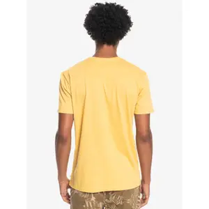 T-shirt Quiksilver Silver Lining image-4