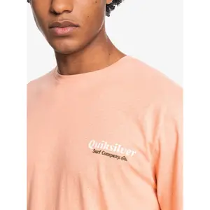 T-shirt Quiksilver Post Scriptum image-6