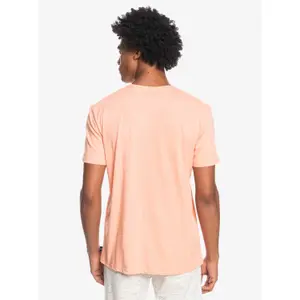 T-shirt Quiksilver Post Scriptum image-4