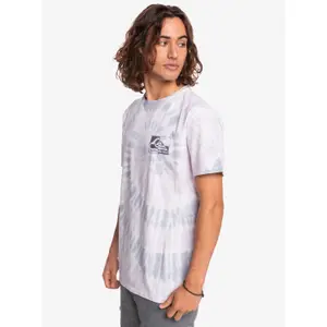 T-shirt Quiksilver Torn And Frayed image-5