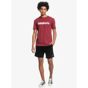 T-shirt Quiksilver All Lined Up image-5