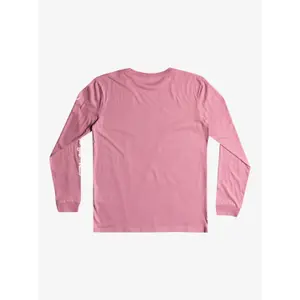 T-shirt à manches longues Quiksilver Omni Logo image-3