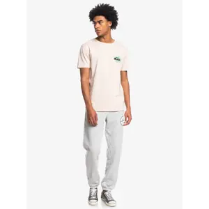 T-shirt Quiksilver Little Paradise image-1