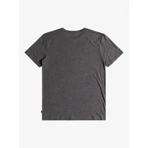 T-shirt Quiksilver Scenic Recovery image-1