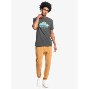 T-shirt Quiksilver Scenic Recovery image-5