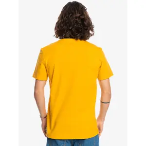 T-shirt Quiksilver The Surf Road image-6