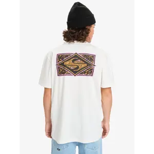 T-Shirt Quiksilver Evo Crisis image-4