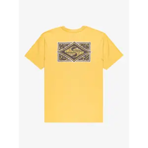 T-Shirt Quiksilver Evo Crisis image-3