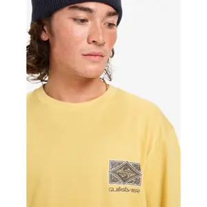 T-Shirt Quiksilver Evo Crisis image-6