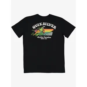 T-shirt Quiksilver Birds Of Cray image-3