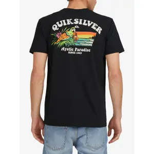 T-shirt Quiksilver Birds Of Cray image-4