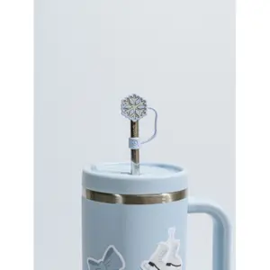 Insulated Stainless Steel Straw Tip Qwetch image-2