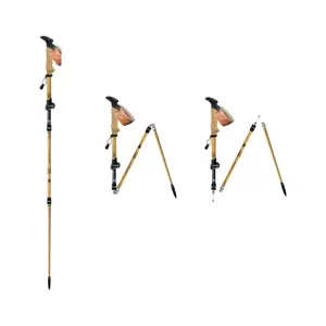 Hiking stick Guidetti Terre de Trek Flashlock (x2) image-1