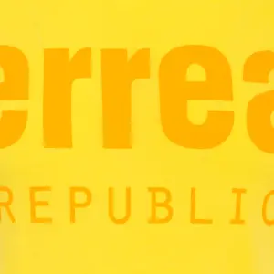 Camiseta Errea essential tone image-2