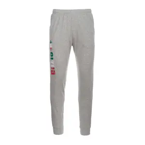 Pantalón de chándal Errea essential cuffed flag ad image-0