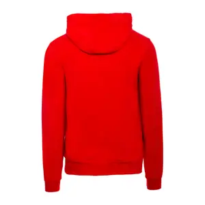 Sudadera con capucha Errea essential big logo image-1
