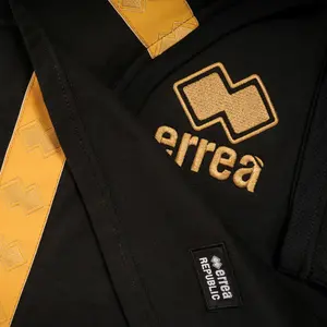 Camiseta Errea stripe classic pro image-2