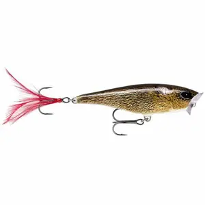 Lure Rapala skitter pop 7g image-0