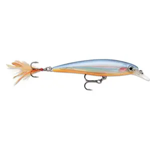 Lure Rapala x-rap® 10 cm image-0