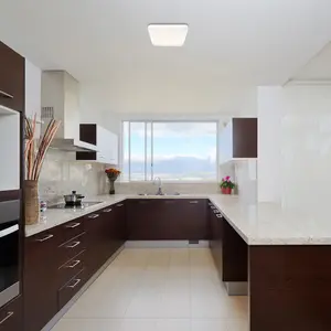 Luz de techo Rabalux Lucas 12 W image-1