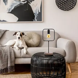 Lampada da interno in ferro e faggio Rabalux Rufin E27 1x MAX 40W IP20, L20xH43cm image-1