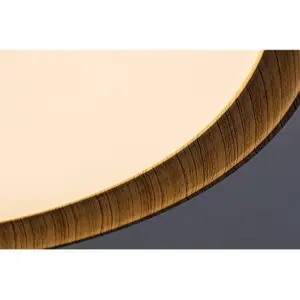 Ceiling lights with beech metal base Rabalux Sherwood 50W 4000lm 3000-6500K D49xH7cm IP20 image-4