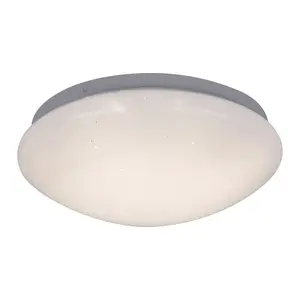 Luce a soffitto Rabalux Lucas 12 W image-0