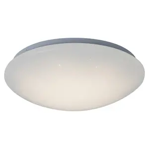 Luce a soffitto Rabalux Lucas 24 W image-1