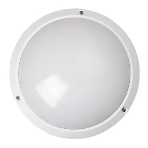 Zewnętrzna lampa sufitowa Rabalux Lentil image-0