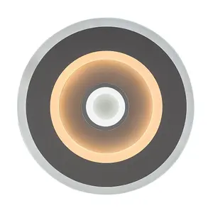 Justerbara integrerade LED-taklampor med klass g väggbrytare Rabalux Taneli 20W 1300lm 3000-6000K D20xH5cm IP20 image-0