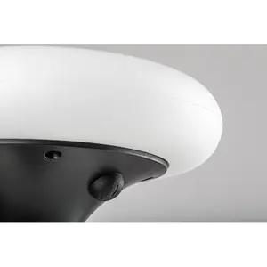 Zewnętrzna solarna lampa podłogowa z tworzywa sztucznego Rabalux image-3