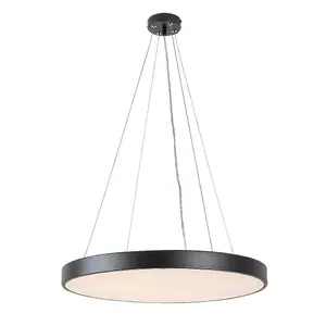Interior metal ceiling lights with g-class remote control Rabalux Tesia 60W 2700lm 4800lm 3000-6000K D60cm H120cm IP20 image-1